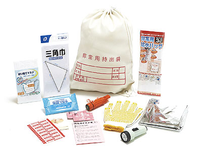 非常防災セット250