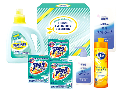 ホームランドリーセレクション25