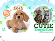 Dog��Cat