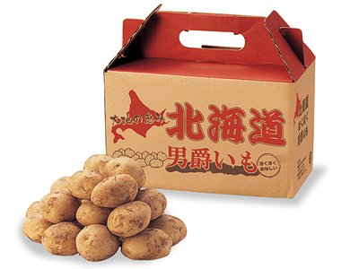 大地の恵み 北海道男爵いも2kg
