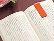 �}�O�l�b�g�u�b�N�}�|�J�[1P