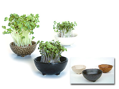 野菜栽培三個組