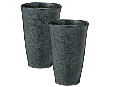 極 フリーカップ2客組