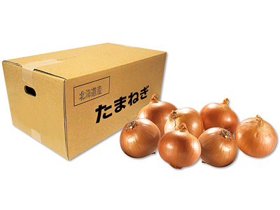 北海道たまねぎ10kg