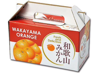 紀州和歌山みかん800g