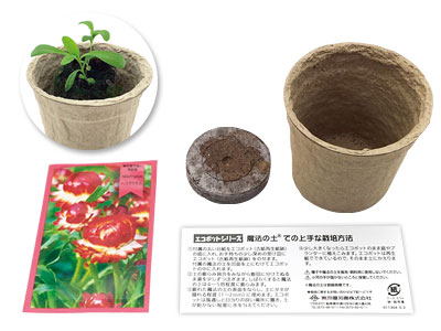 Ecoポット 花の種 販促品流通センター