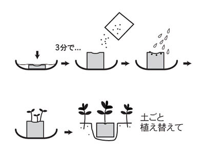 サムネイル