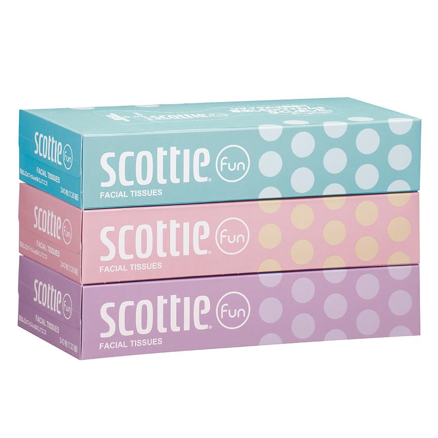 スコッティティシューファン120組3箱パック