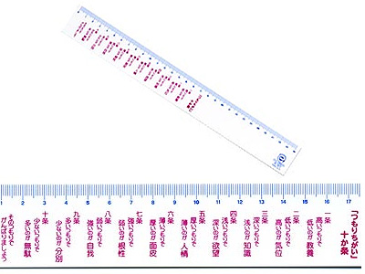 エコ定規30cmつもりちがい十か条