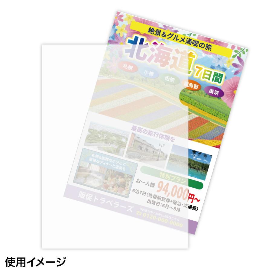 【小ロット】紙ファイル A4(片面半透明)