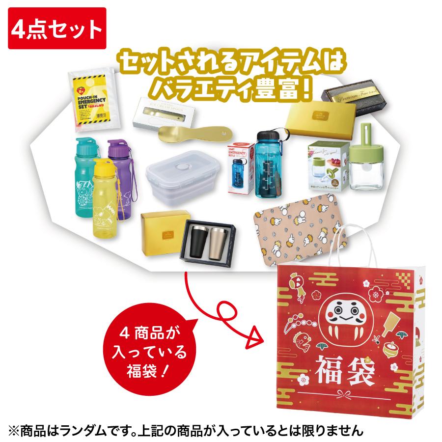 わくわく福袋(4点セット)