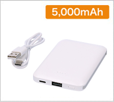 レザーリチウム充電器 4,000mAhの商品画像