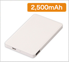 PSEカスタムデザインチャージャー 2200の商品画像