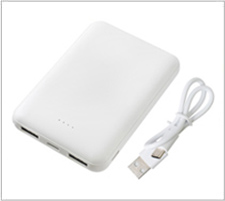 ファストチャージャー10000の商品画像